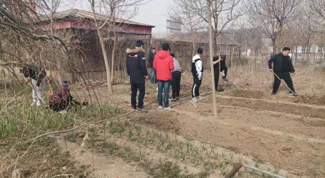 一米菜園，成就我們的田園夢(mèng)