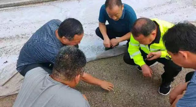 淄博市交通建設發(fā)展中心對養(yǎng)護工程進行檢查