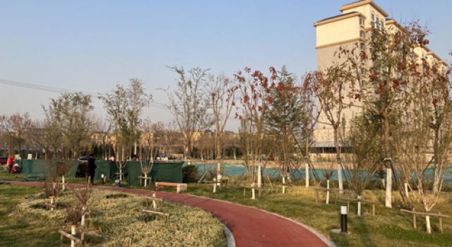 津五路局部道路設(shè)施改造項(xiàng)目交通調(diào)查啟動(dòng)，助力交通影響評(píng)價(jià)